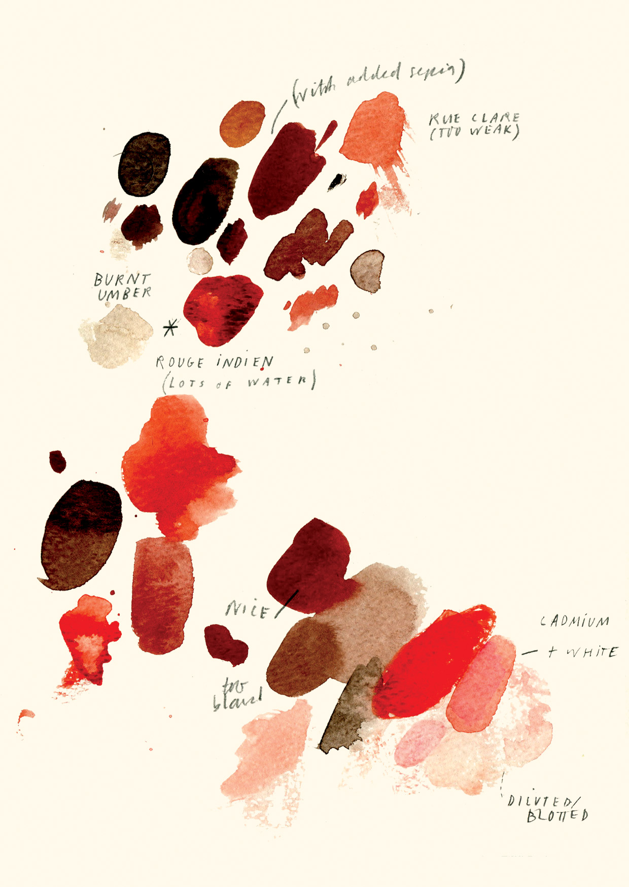 Nina Cosford Illustration - Colour Test