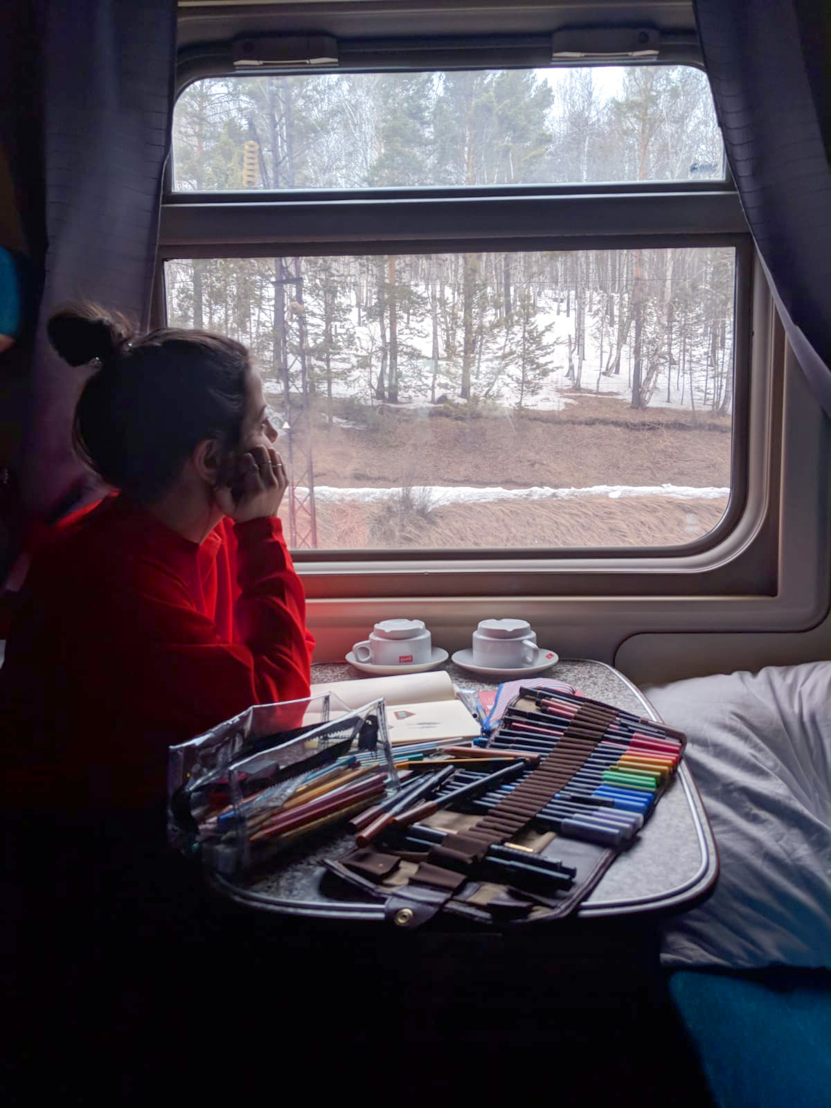 Nina Cosford Illustration - The Trans-Siberian Railway